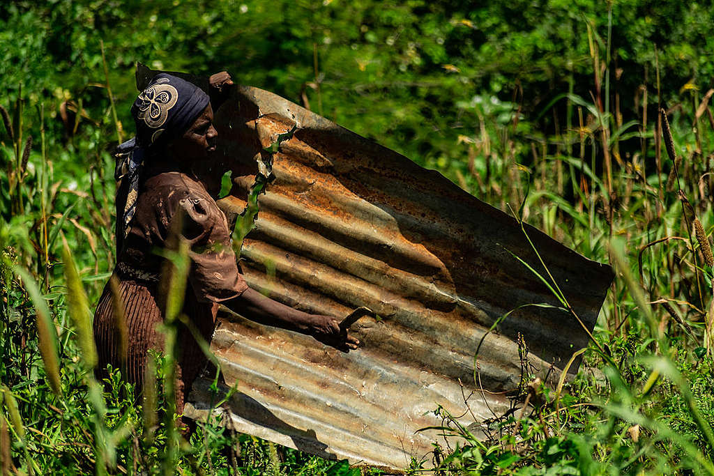 Locust Invasion in Mwingi, Kitui County in Kenya. © Greenpeace / Paul Basweti