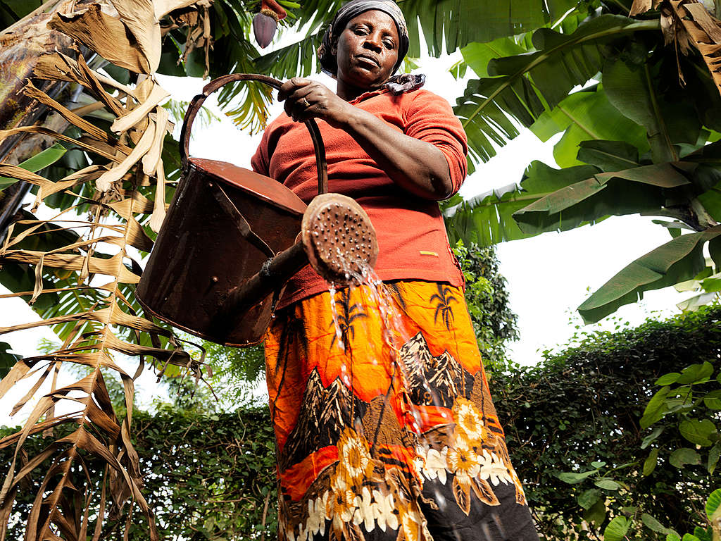 Farmer Janet Muriungi in Kenya. © Peter Caton / Greenpeace