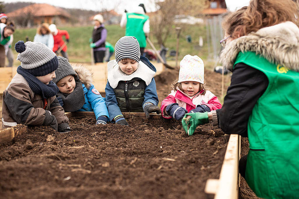 Volunteers Build Raised Beds in a Community Garden in Hungary. 
© Zsuzsi Dorgo / Greenpeace