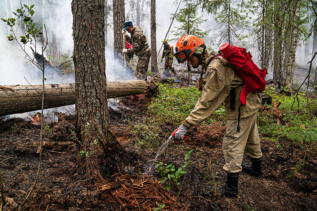 Greenpeace Russia volunteers help fight fires in the Denezhkin Kamen reserve near the Ural mountains. © Greenpeace  
© Yulia Petrenko / Greenpeace