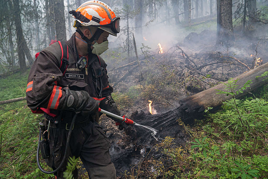 Greenpeace Russia volunteers help fight fires in the Denezhkin Kamen reserve near the Ural mountains.  
© Yulia Petrenko / Greenpeace
