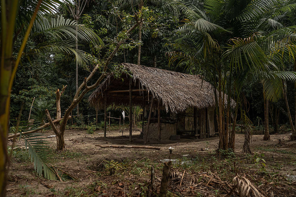 One of the shelters families from the Dâw people used to isolate themselves, inside the forest. © Christian Braga / Greenpeace