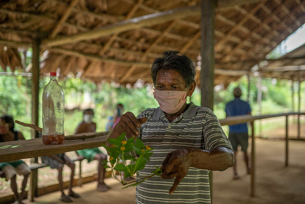 Jair handles the plants and tea his people used to help them cope from COVID-19. © Christian Braga / Greenpeace © Christian Braga / Greenpeace