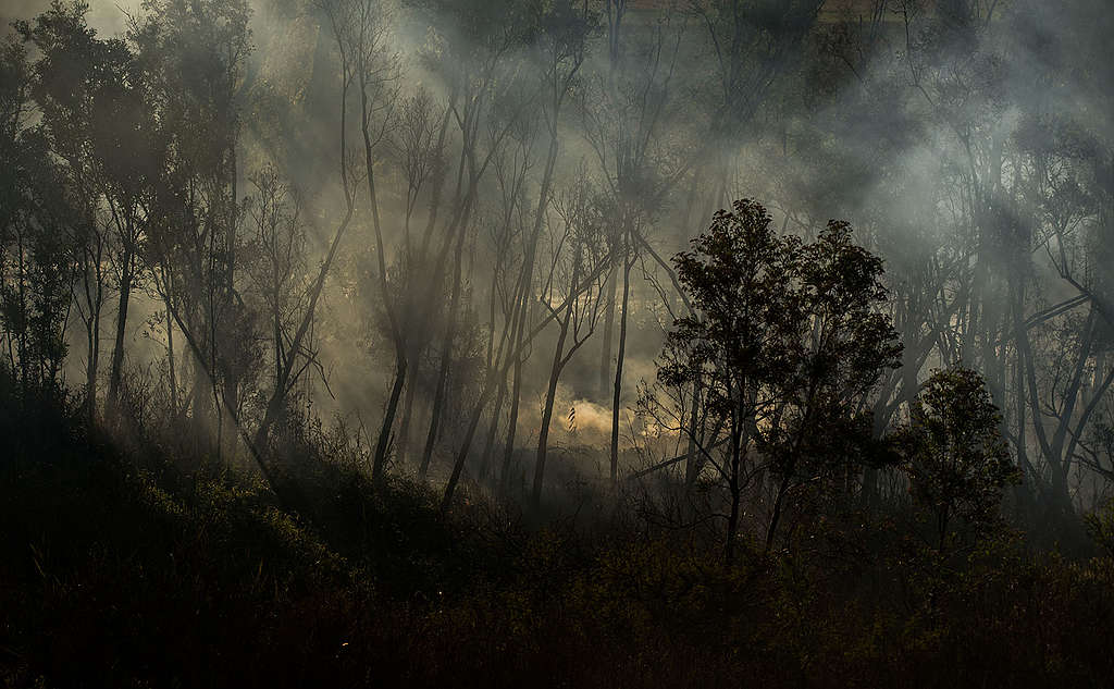 Fires burn in the Paraná Delta, Argentina. © Sebastian Suarez Meccia / Greenpeace