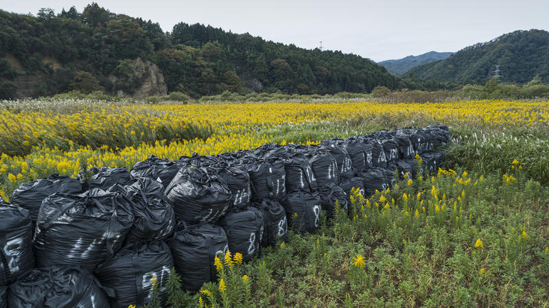 Bags with nuclear waste in Obori, Namie-town inside the highly contaminated exclusion zone in Namie, Fukushima prefecture, Japan. © Christian Åslund / Greenpeace 
© Christian Åslund / Greenpeace
