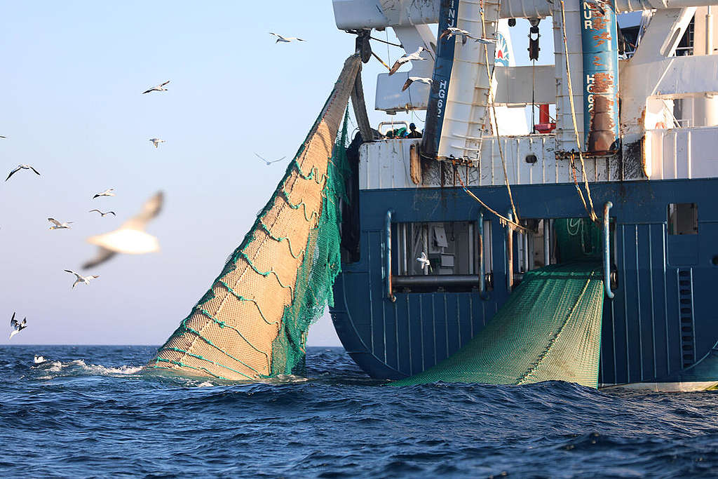 Beinur Trawler in the Dogger Bank. © Greenpeace