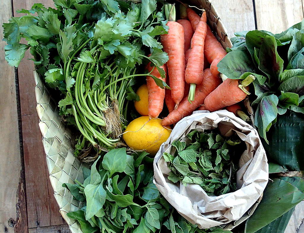 Basket of fresh vegetables