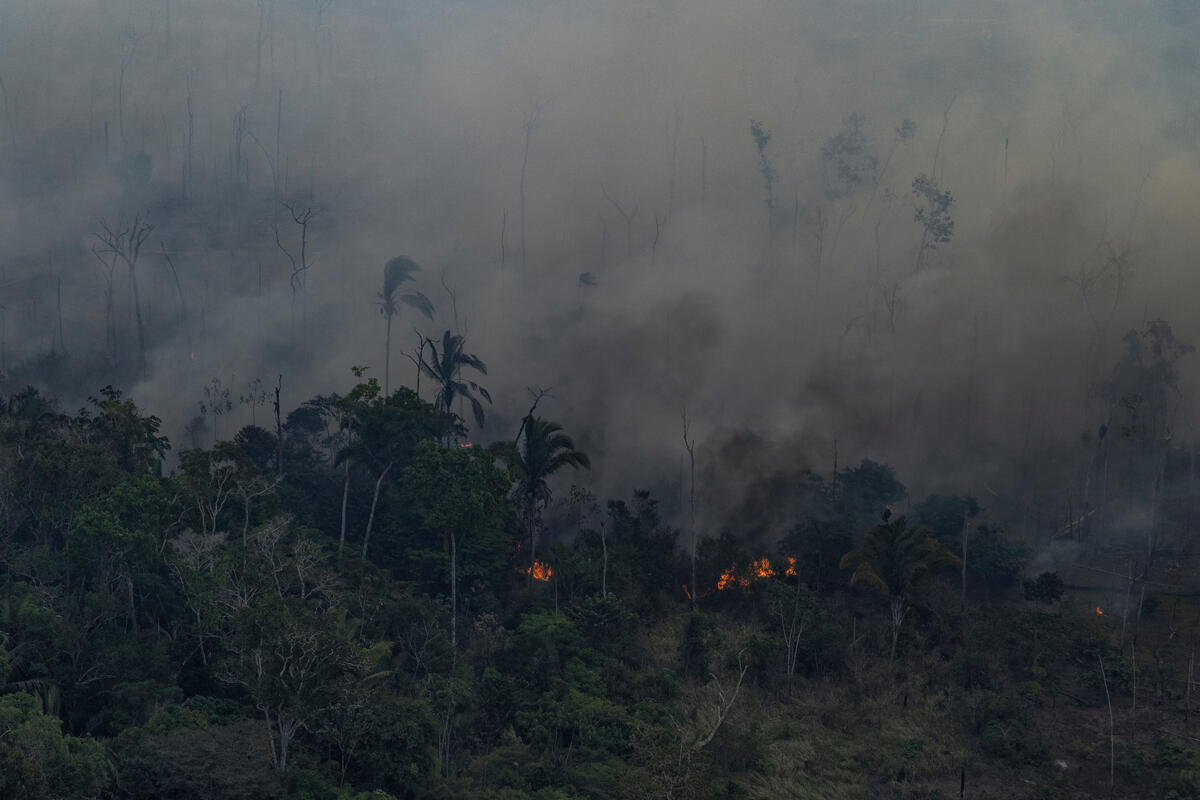 The health impacts of the smoke from the fires in the Amazon - Greenpeace  International