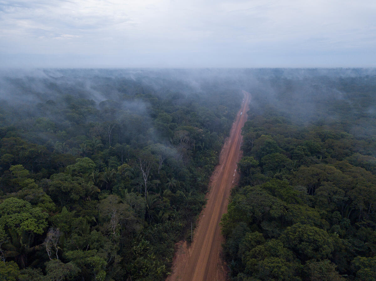 TransAmazon Highway, Lábrea, Amazonas. © Nilmar Lage / Greenpeace