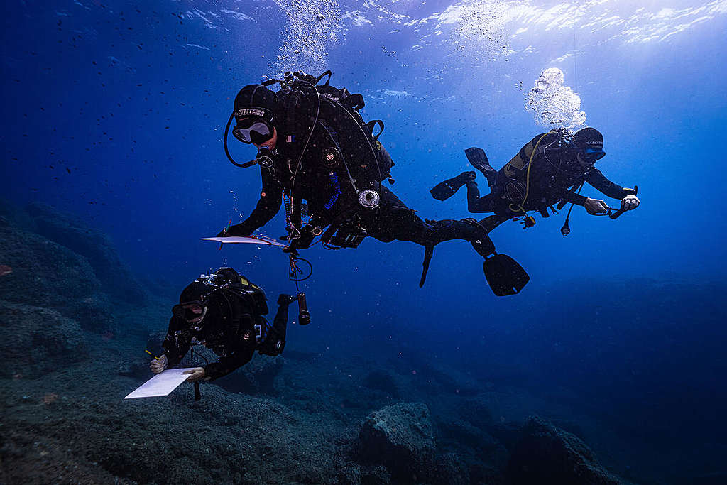 Underwater Sea Temperature Monitoring Station at Elba Island, Italy. © Greenpeace / Lorenzo Moscia