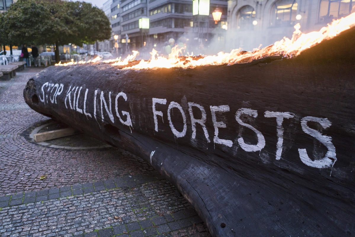 Protest at Consumer Goods Forum (CGF) Global Summit in Berlin. © Kevin McElvaney / Greenpeace