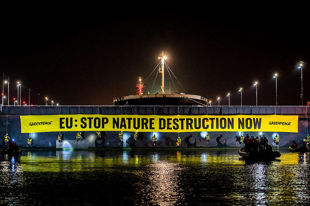 Greenpeace blocks soy ship in IJmuiden sea lock. © Marten van Dijl / Greenpeace 