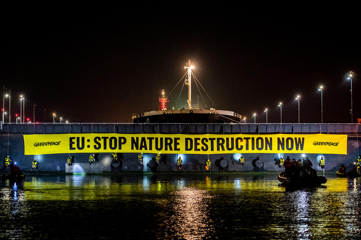 Greenpeace blocks soy ship in IJmuiden sea lock. © Marten van Dijl / Greenpeace / Greenpeace