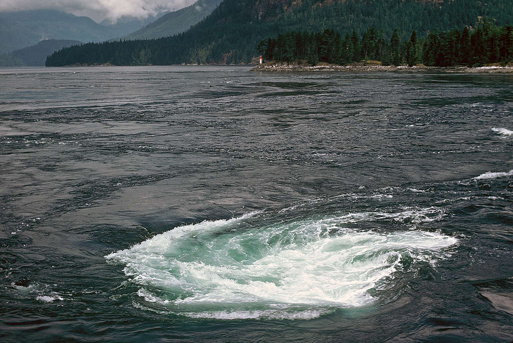 Whirlpool in Canada. © Greenpeace / Rex Weyler
