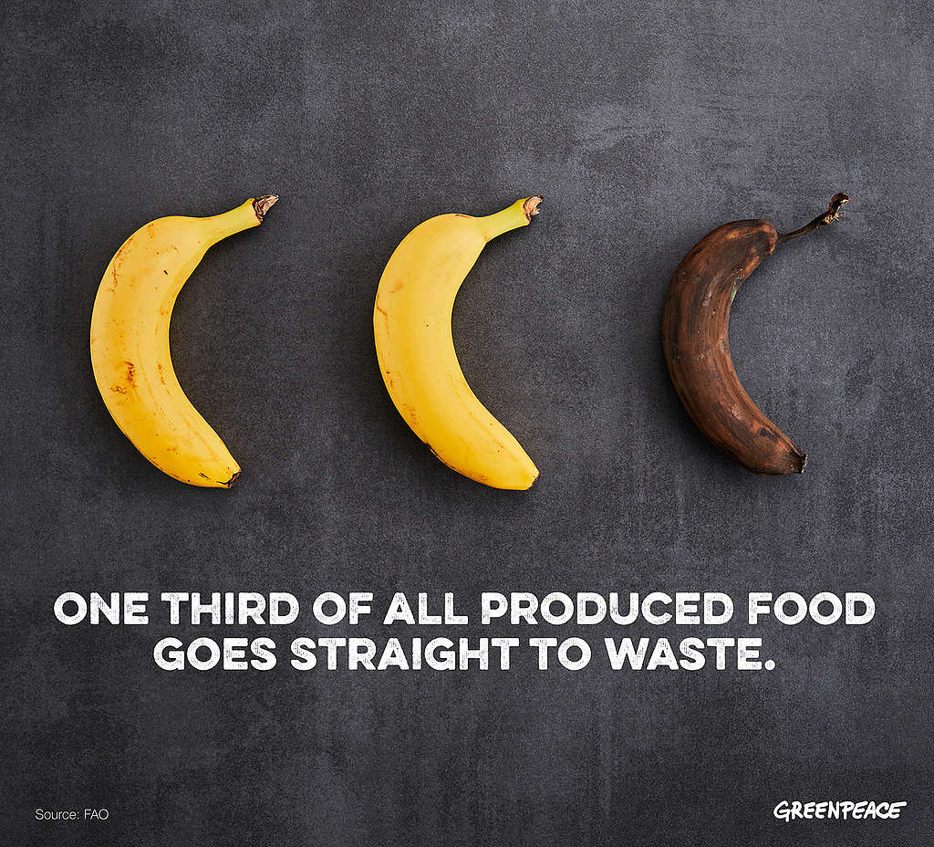One Third of Global Food Production Goes Straight to Waste. © Mitja  Kobal / Greenpeace