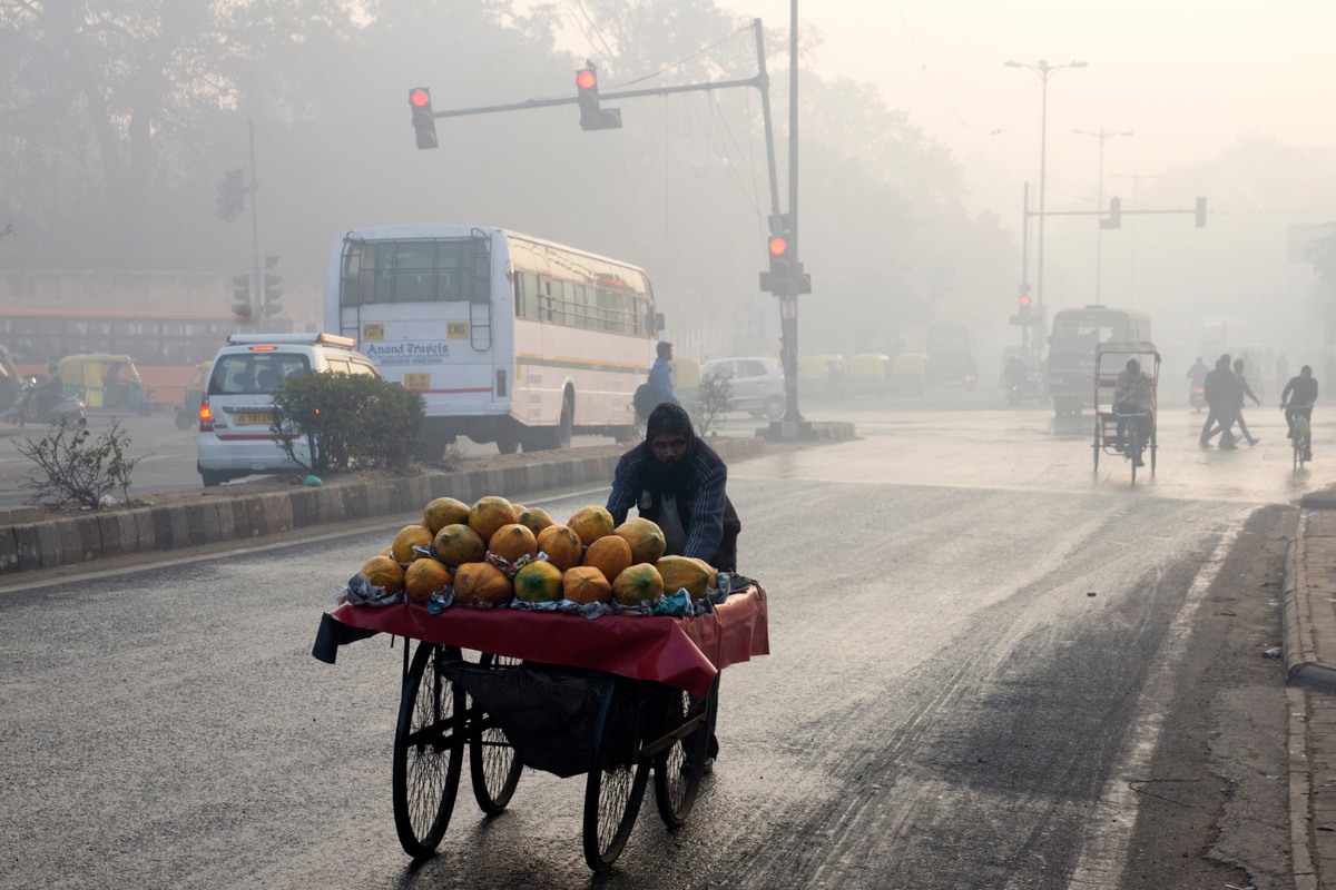 Papayas Among Pollution in New Delhi.