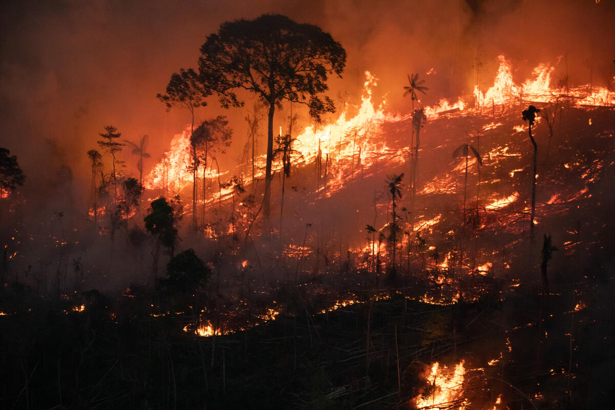Photo of fires in the Amazon rainforest © Nilmar Lage / Greenpeace