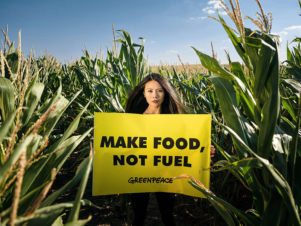 A woman stands in a corn field holding a banner that reads: Make Food Not Fuel