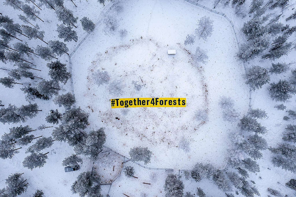 Protests are happening across Europe to stop deforestation. Several organizations, as part of the #Together4Forests coalition, call on EU and EU ministers to improve the EU-law to prevent deforestation. In Sweden, the demonstration is held in Muonio Sameby in Pajala municipality, a Sami village that is strongly affected by deforestation through intensive forestry. © Jason White / Greenpeace © Jason White / Greenpeace