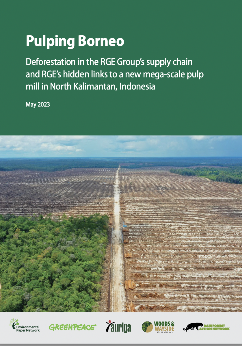 Pulping Borneo - the deforestation in Kalimantan