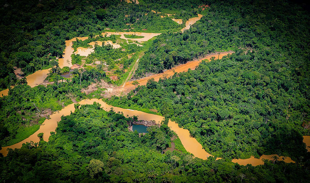 Illegal landing strip in the Yanomami Indigenous Land in the Amazon. © Valentina Ricardo