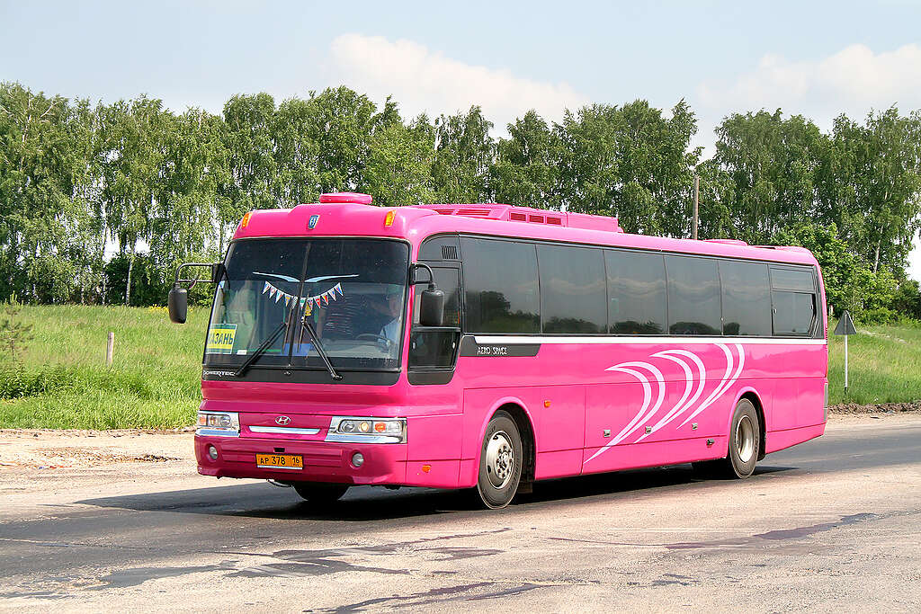 A pink bus against the background of blue sky and green trees