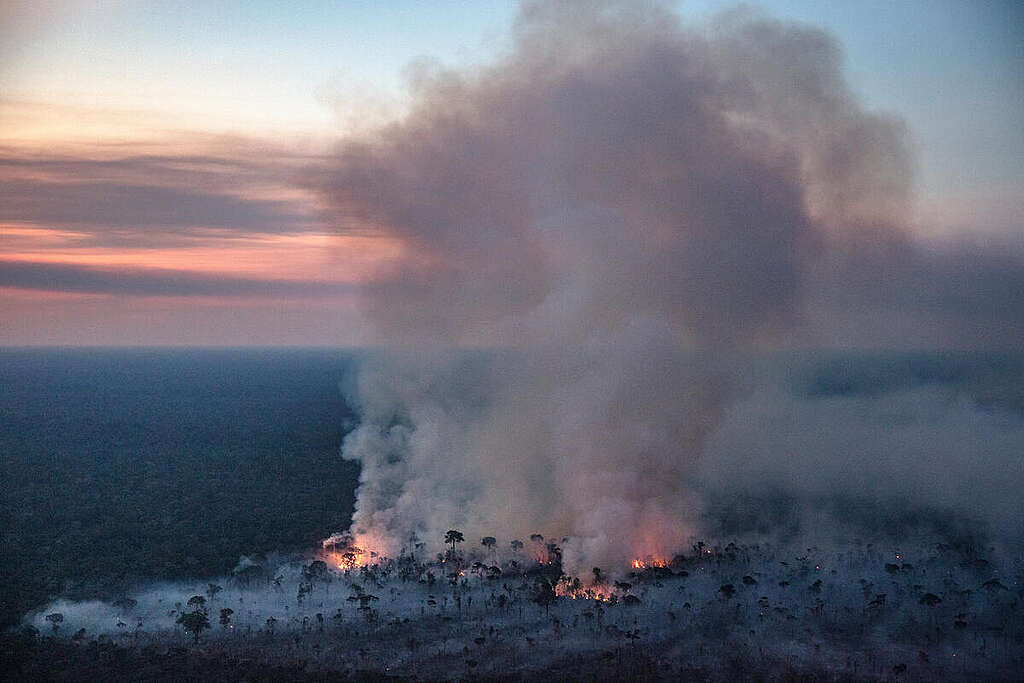 Fire Monitoring in the Amazon in Brazil. © Marizilda Cruppe / Greenpeace