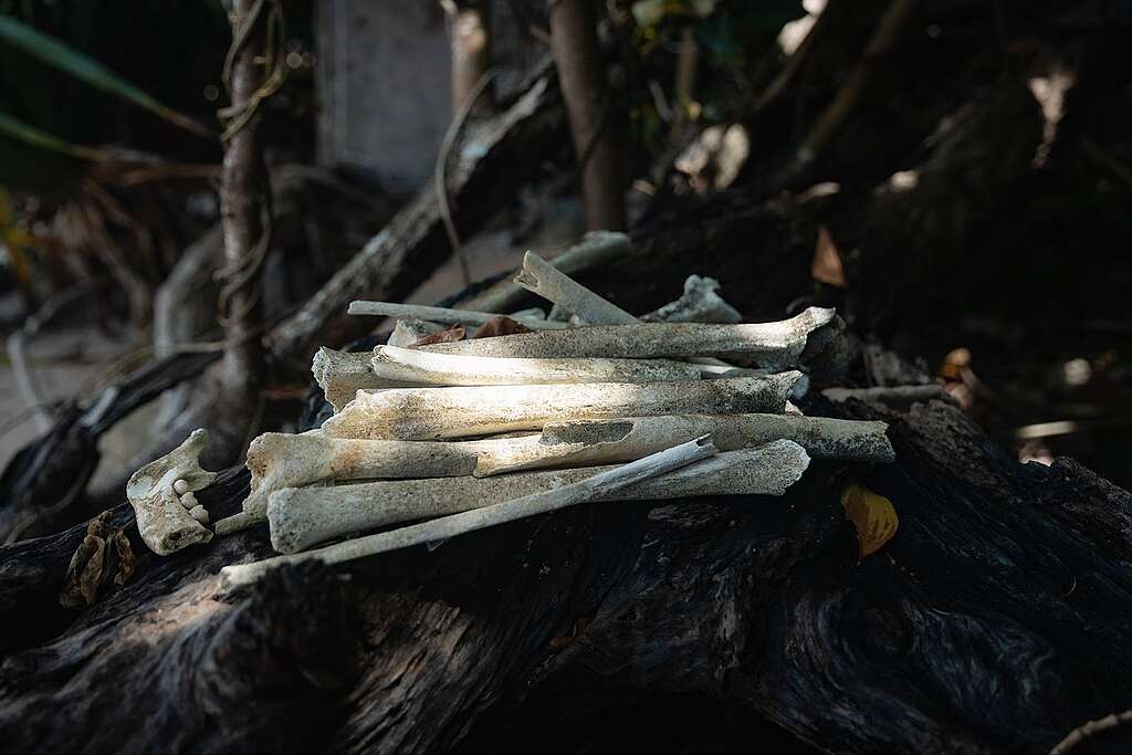The remains of deceased villagers due to cyclone on Pele Island