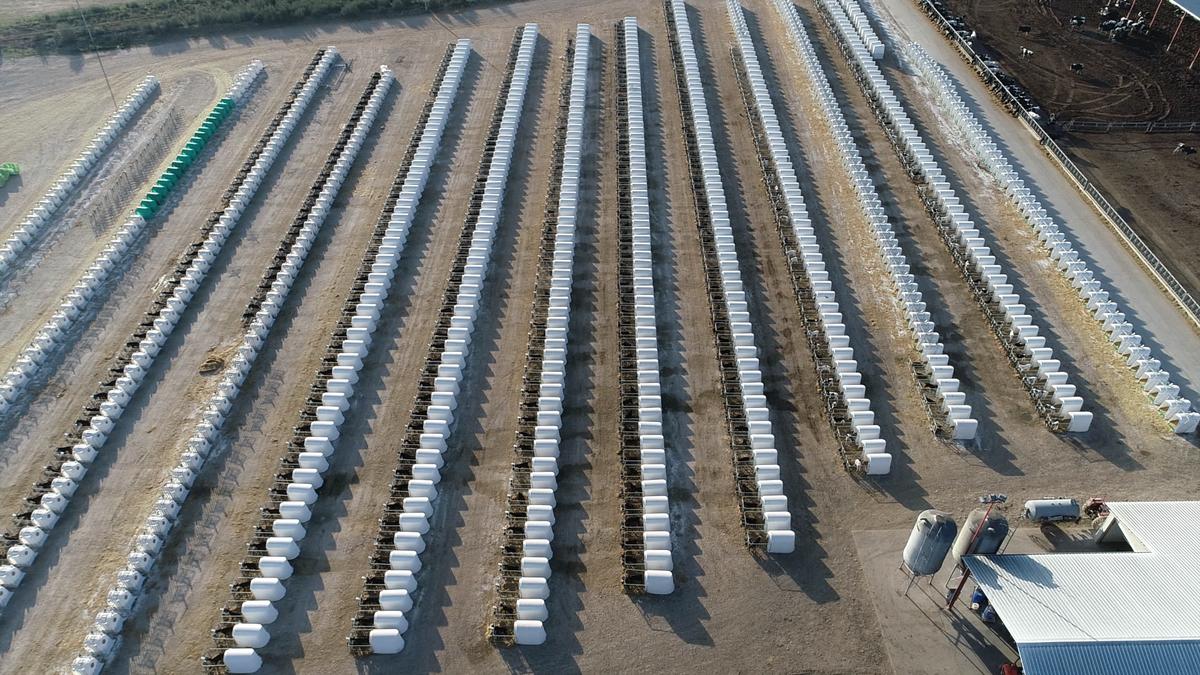 Dairy Factory Farm in Caparroso, Spain. © Tania Garnica / Greenpeace