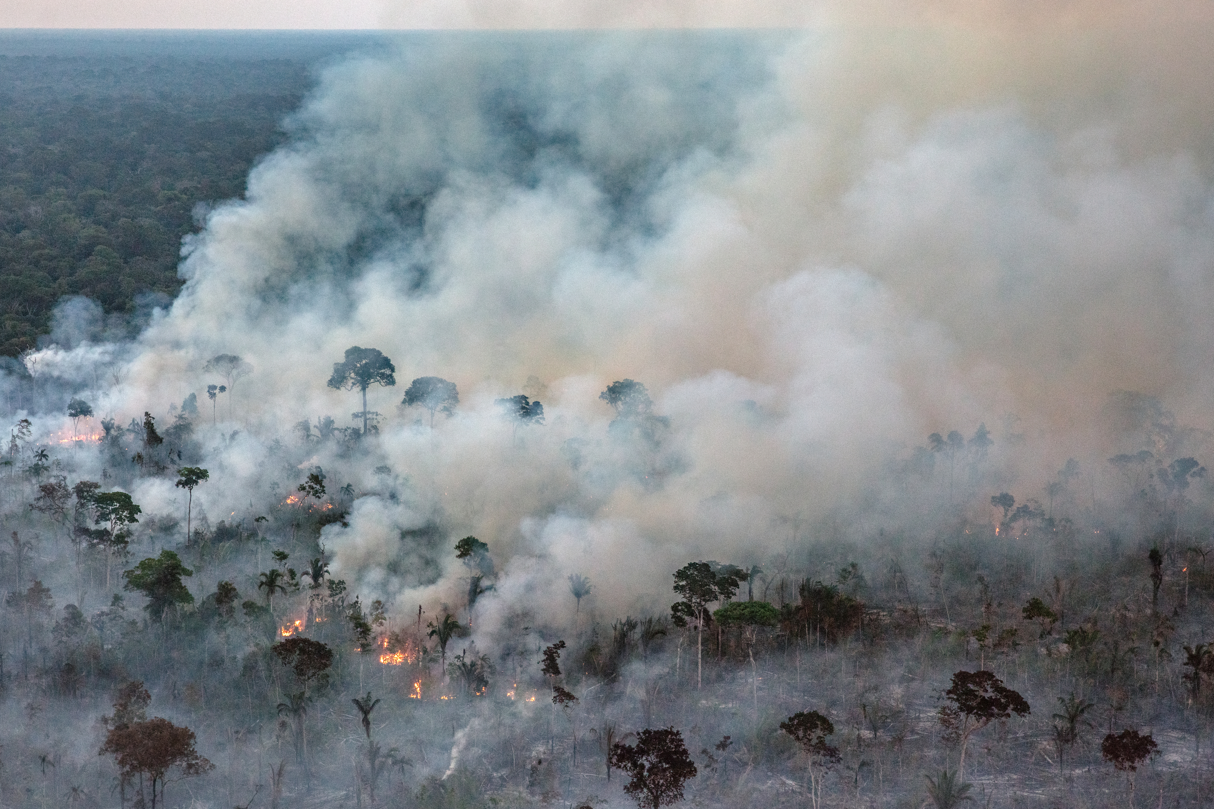 Fire in a recently deforested area in Gleba Abelhas, an unprotected federal forest in Canutama, Amazonas state. © Marizilda Cruppe / Greenpeace