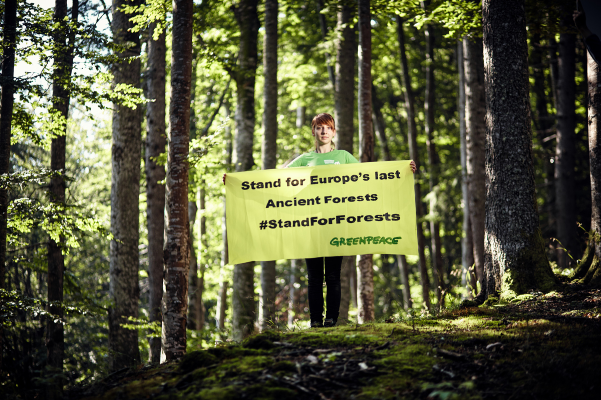 Banner Action at Romania Forest Rescue Station. © Mitja  Kobal / Greenpeace