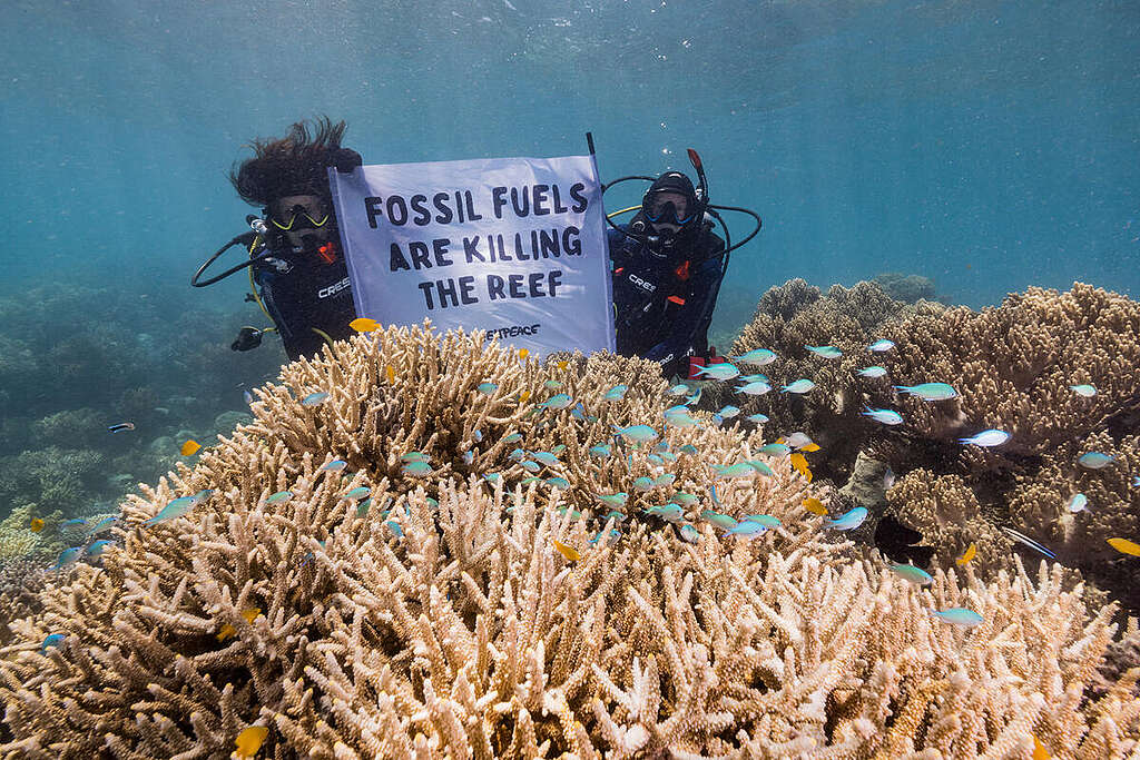 Divers holding a sign underwater on the Great Barrier Reef in Australia. © Greenpeace / Grumpy Turtle / Harriet Spark
