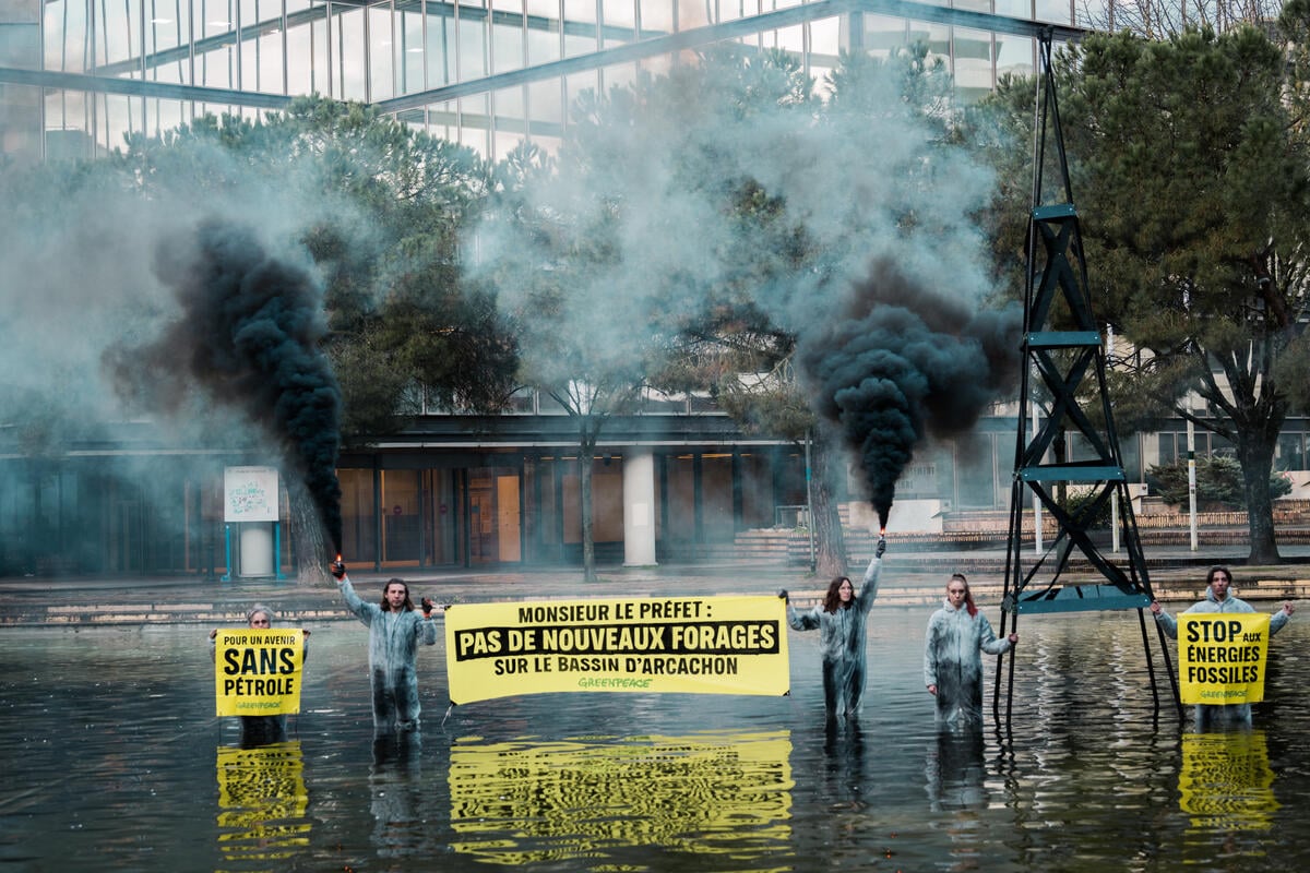 The  — and our future — is being burned for profit - Greenpeace  International