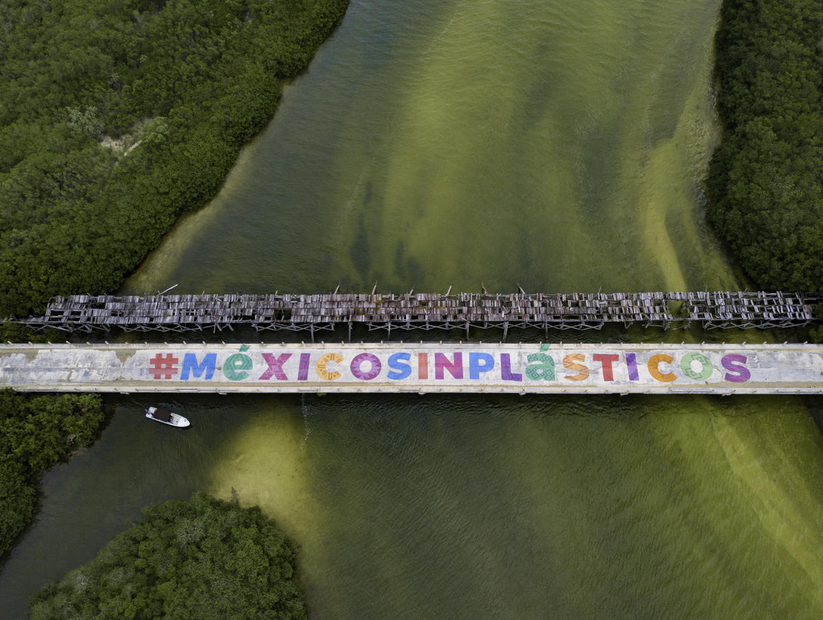 Activists Denounce Plastic Pollution at Riviera Maya Sanctuary in Mexico. © Mario Dib / Greenpeace