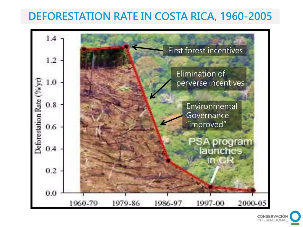 Slide depicting a decline in deforestation rates in Costa Rica from 1960-2005