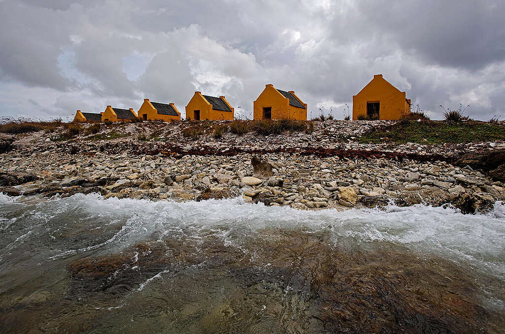 Historical slave huts on Bonaire. © Marten  van Dijl / Greenpeace