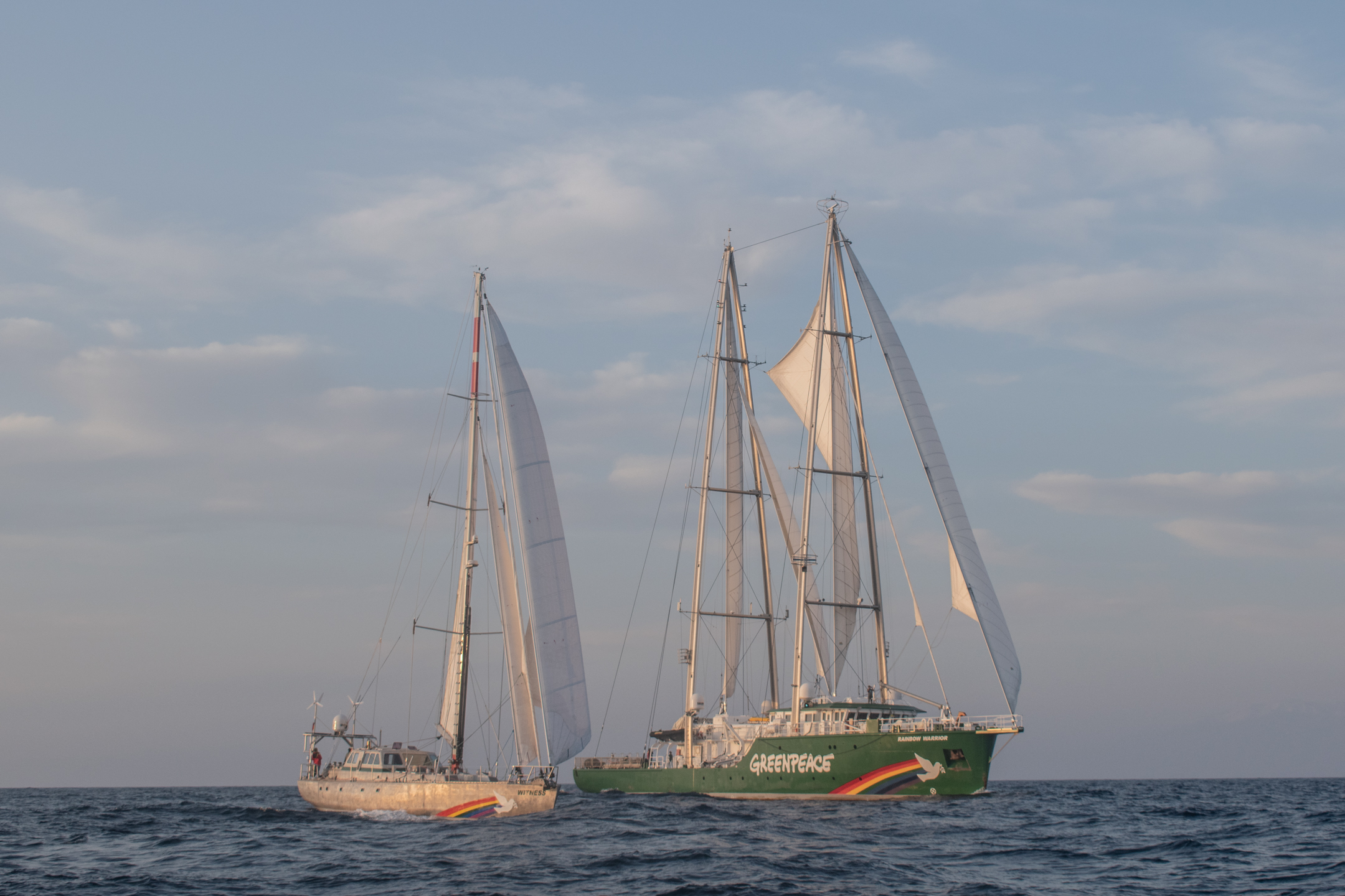 The Rainbow Warrior and Witness in the Mediterranean