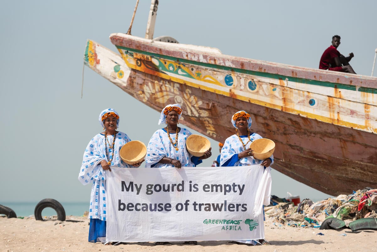 World Fisheries Day Activity in Senegal. © Clément  Tardif / Greenpeace