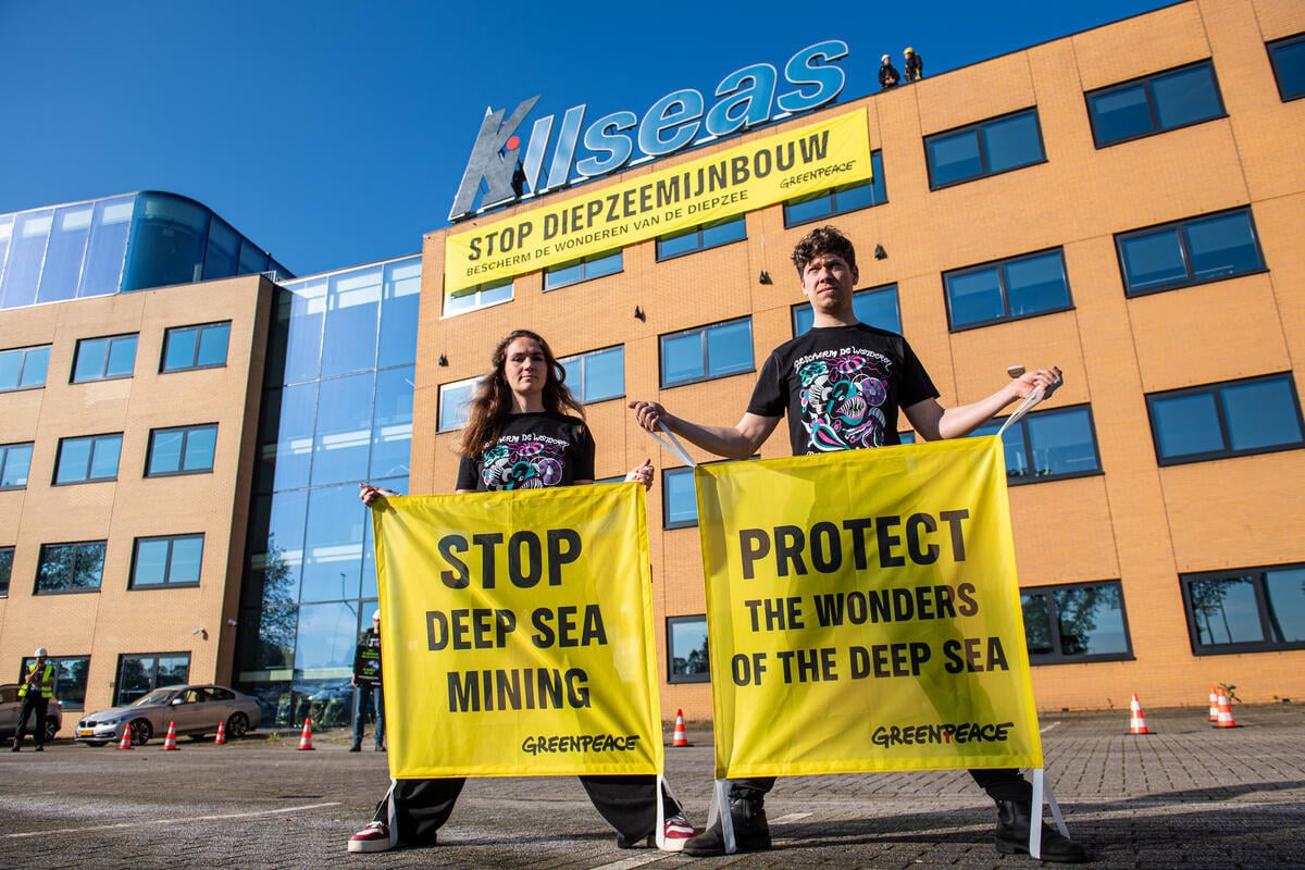 Protest at Allseas Office against Deep Sea Mining in the Netherlands.