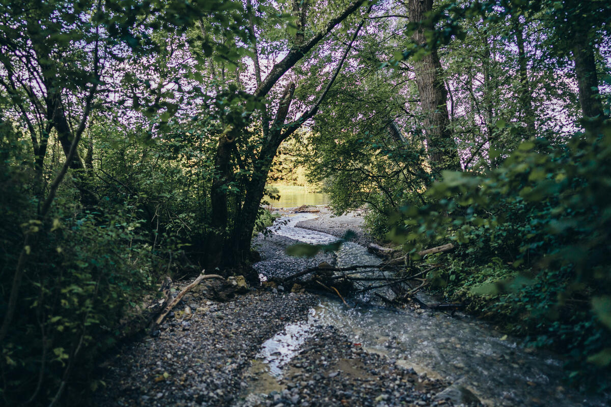 Streams and Lakes in Reichling. © Tino Boecher / Greenpeace