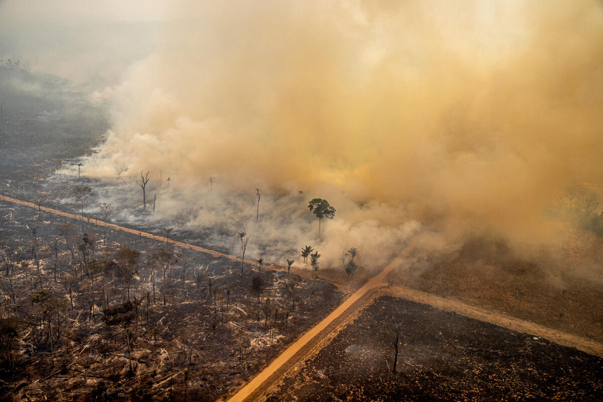 Fire in the Jaci-Paraná Extractive Reserve, in Porto Velho, Rondônia state, Brazil. © Christian Braga / Greenpeace