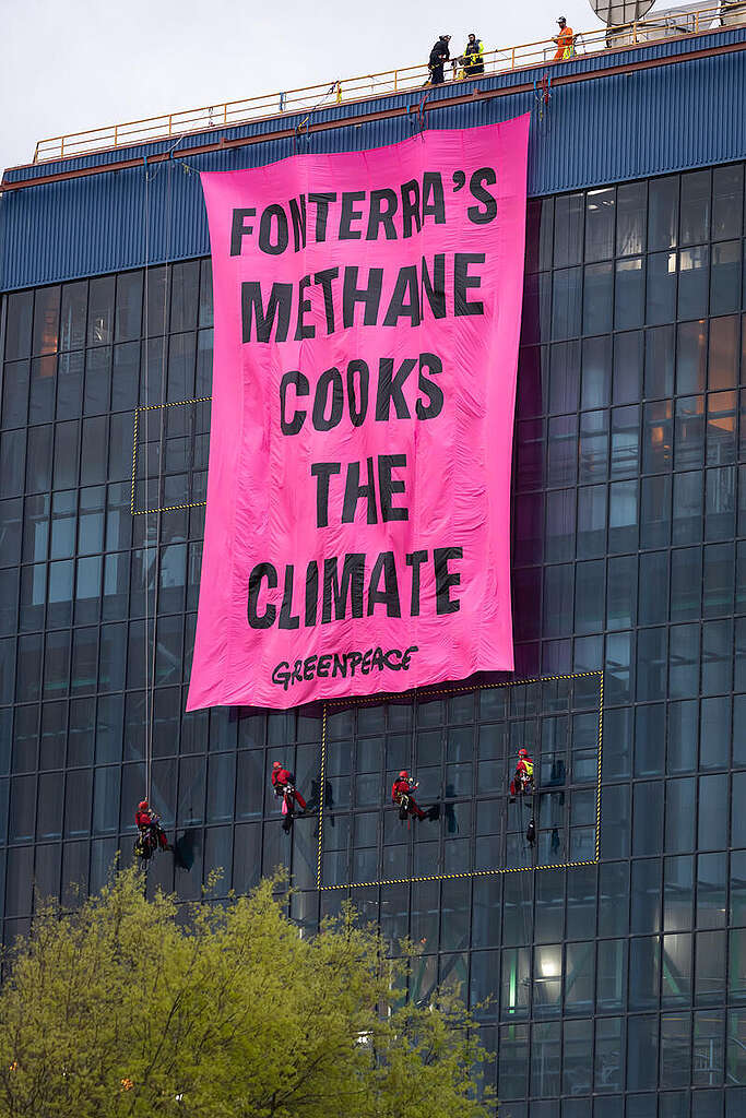 Fonterra's Methane Cooks the Climate - Action in Te Rapa, New Zealand. © Bryce Groves / Greenpeace