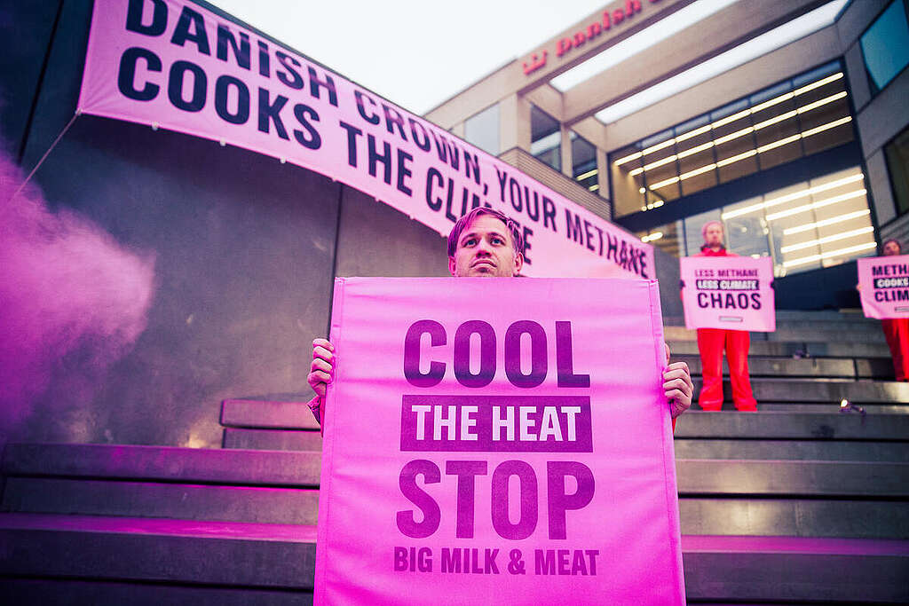 Methane Cooks the Climate - Protest at Danish Crown HQ in Denmark. © Michael Hedelain / Greenpeace