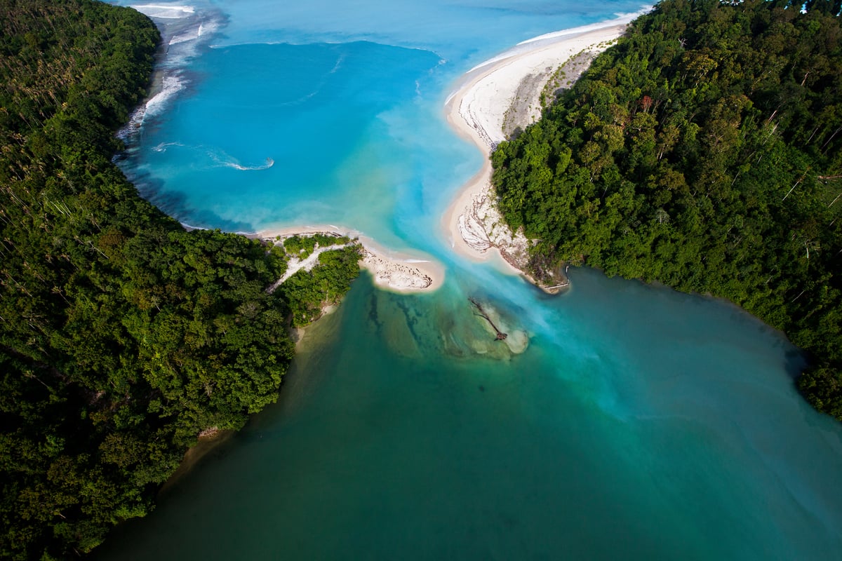 Bintepuna River in Papua New Guinea. © Paul Hilton / Greenpeace