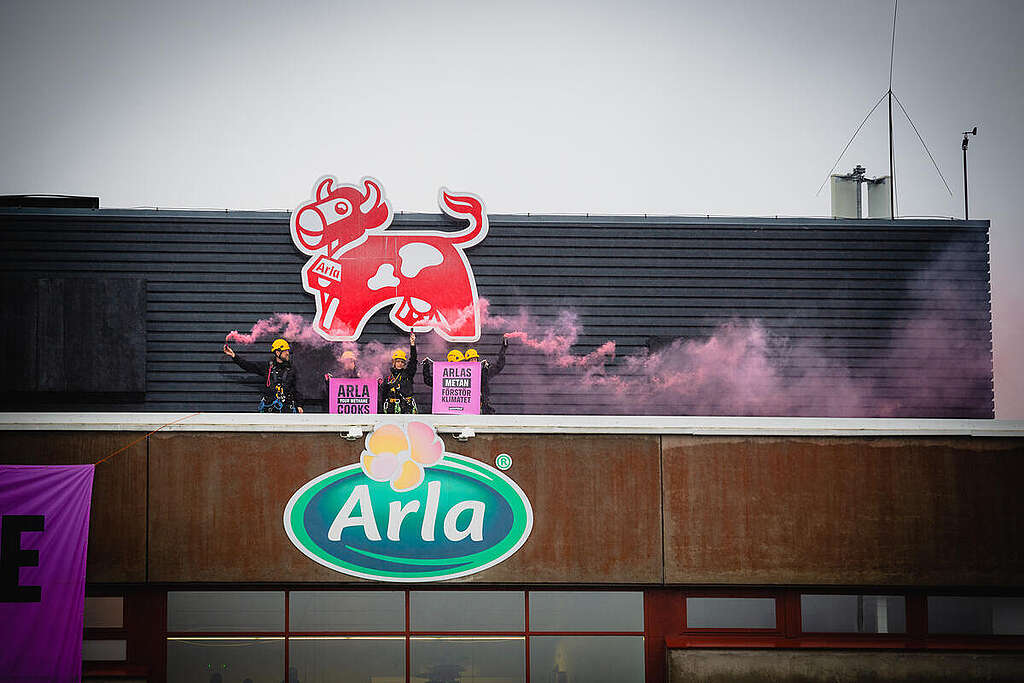 Methane Cooks the Climate - Protest at Arla HQs in Stockholm. © Jana Eriksson / Greenpeace