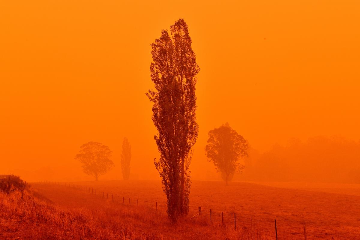 Australian Bush fire.  © SAEED KHAN / AFP via Getty Images © SAEED KHAN / AFP via Getty Images