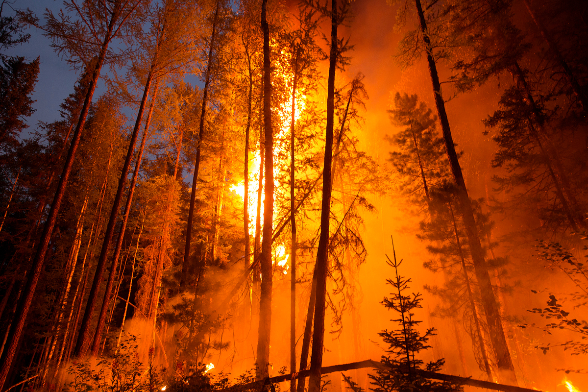 Forest Fires in Irkutsk Region. © Anna Baskakova