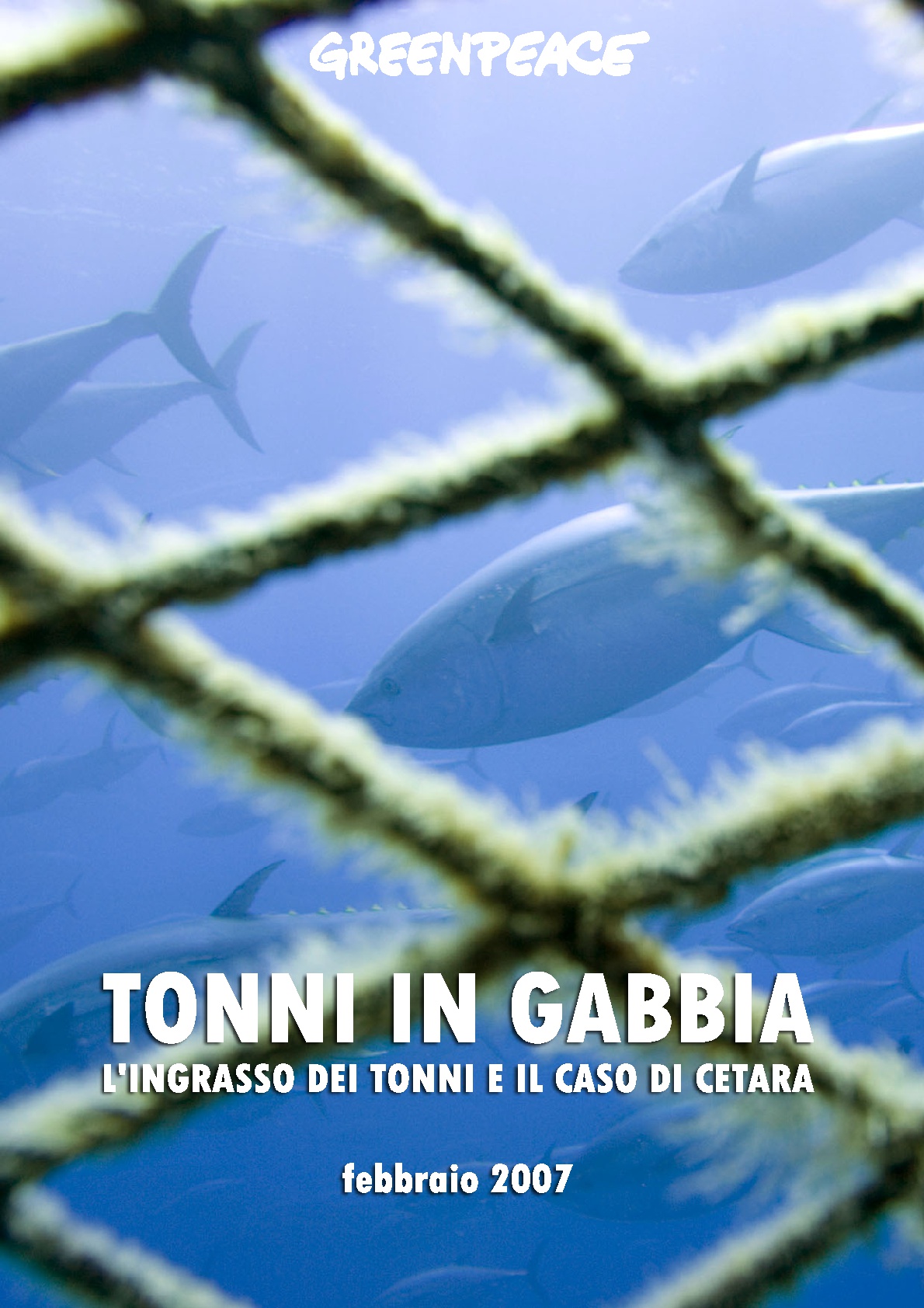 Tonni in gabbia. L'ingrasso dei tonni e il caso di Cetara - Greenpeace  Italia