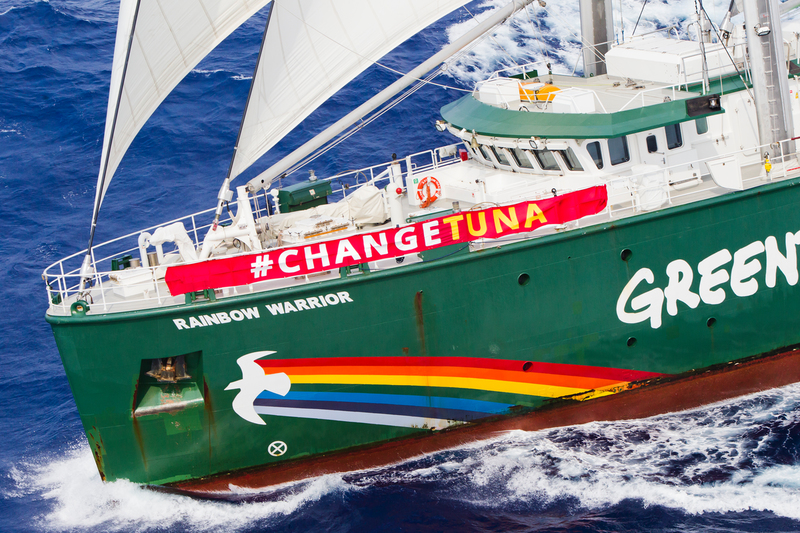 I progressi della campagna Tonno in Trappola - Greenpeace Italia