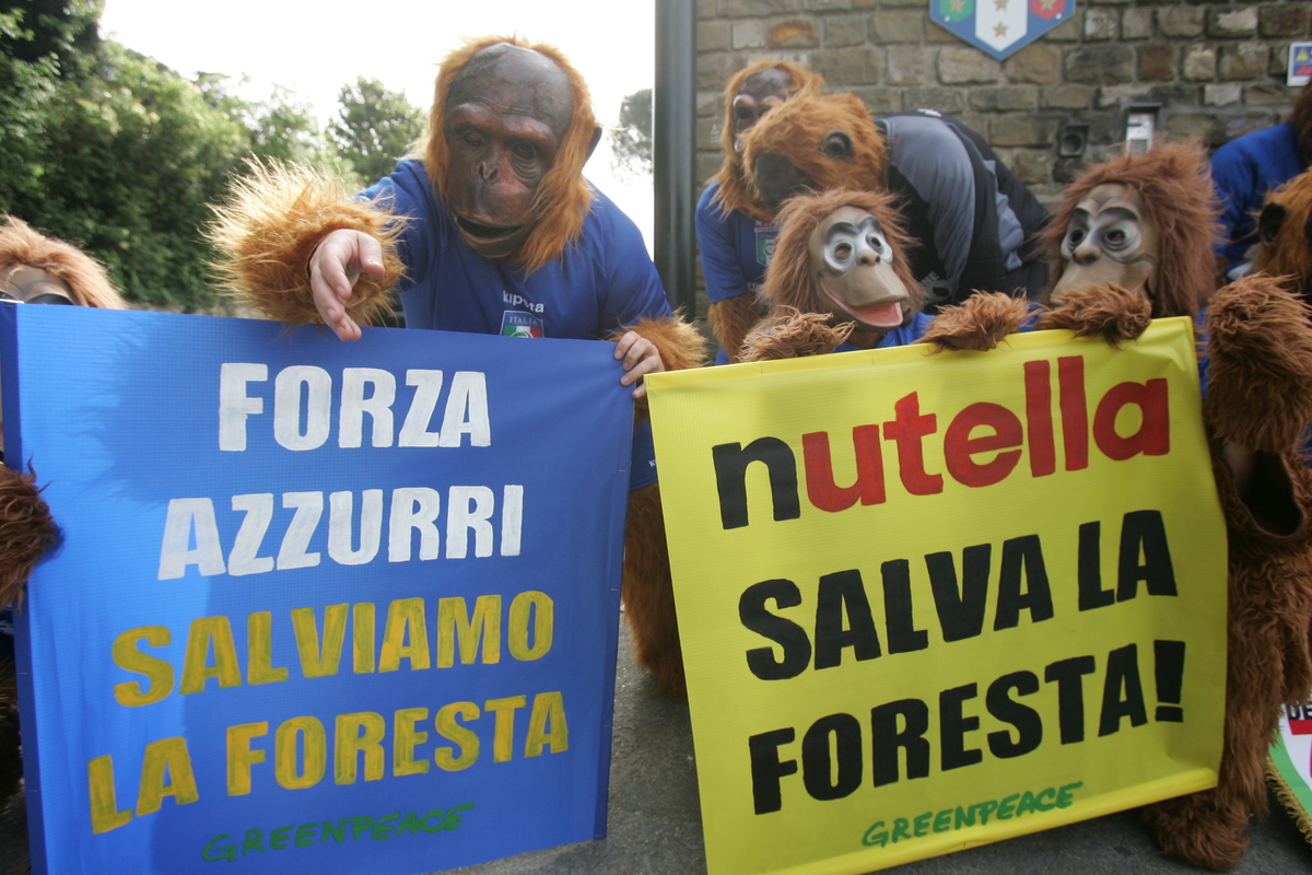 Forests Action at Italian Football Team Headquarters. © Michelangelo Gisone